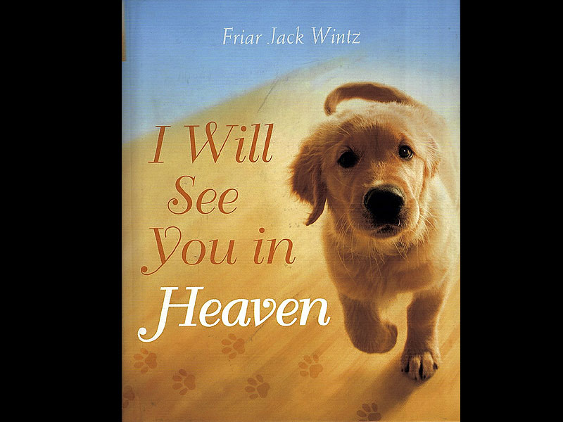 Why I believe my dog is in heaven Inquirer Lifestyle
