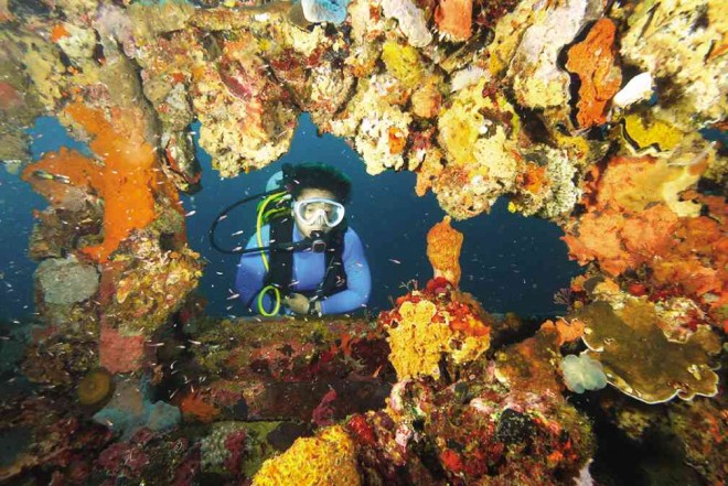 DIVER at the wreck of Kyokuzan Maru