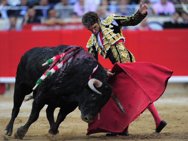 Spain's bullfighter Jose Tomas performs at the Monumental bullring in Barcelona, Spain on September 25. Spain's powerful northeastern region of Catalonia bids farewell Sunday to the country's emblematic tradition of bullfighting with a final bash at the Barcelona bullring. AP