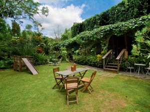 A charming spot for lunch or drinks on the main lawn. In the background is the main dining area naturally draped and covered with rock melon and morning glory vines. Photo by Stanley Ong