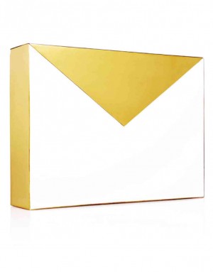BESTSELLER: resin and brass envelope minaudiere