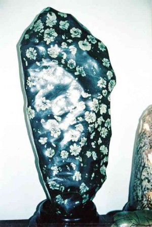 FLORAL prints on a black stone, owned by a Chinese collector