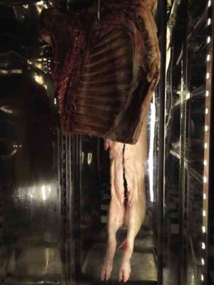 HAUNCH of meat and suckling pig on display