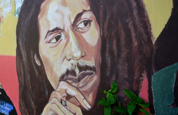 Jamaica Marley Marijuana