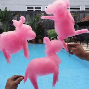 COTTON candy animals PHOTOS BY PAMPASTOR