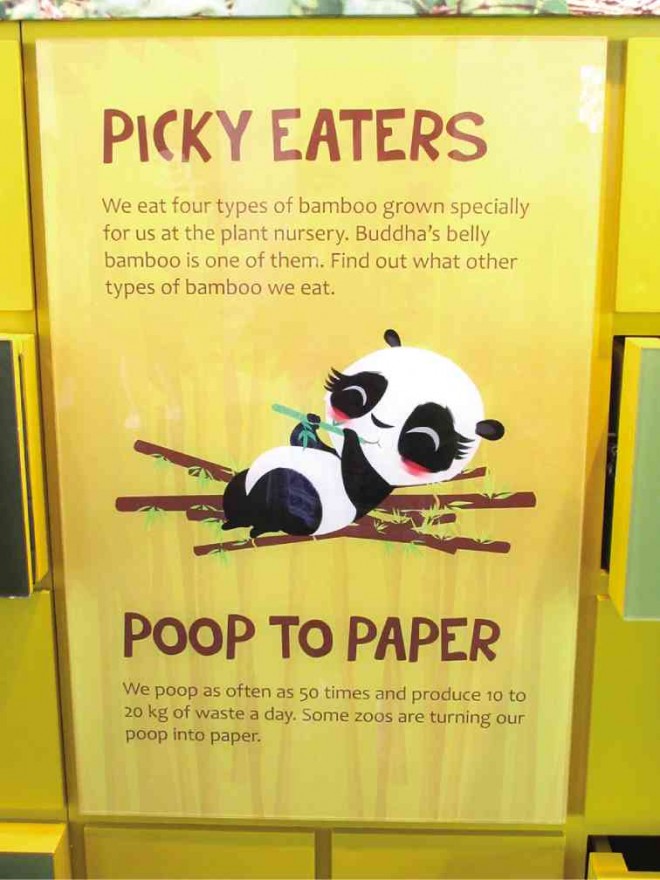 PANDA poop apparentlymakes good paper!