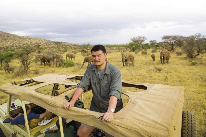 “NO BUYERS, no killers” is YaoMing’s simple message to help abolish elephant slaughtering for ivory.