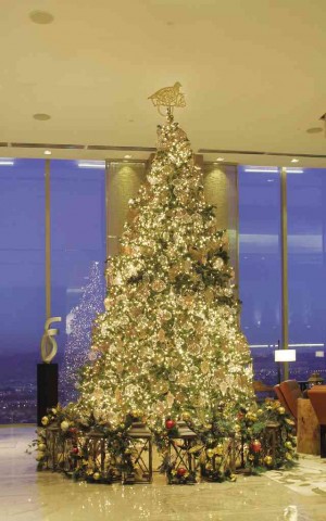 MORE than 1,500 lights illuminate the Christmas tree at the sky lobby.