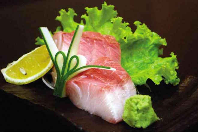 HAMACHI, Japanese yellowtail