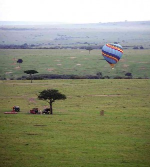 HOT AIR balloon landing near camp lunch site