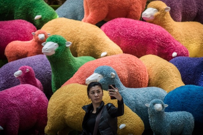 A woman takes a selfie in front of a multi coloured sheep installation displayed in a shopping mall for the Chinese New Year celebrations in Hong Kong on February 18, 2015.  The Chinese Lunar New Year of the Sheep begins on February 19.  AFP 
