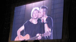 Niall and Liam playfully posing for a fan's request for a  selfie