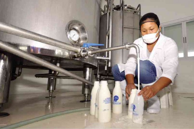 VIVIAN Paine bottles milk processed at the dairy farm of the Pangasinan Dairy Multipurpose Cooperative in Laoac, Pangasinan province. WILLIE LOMIBAO