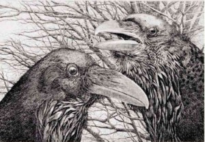 HANS Van Hagen’s etchings of birds