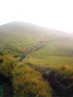 MOUNTAIN climbers on misty Mount Pulag