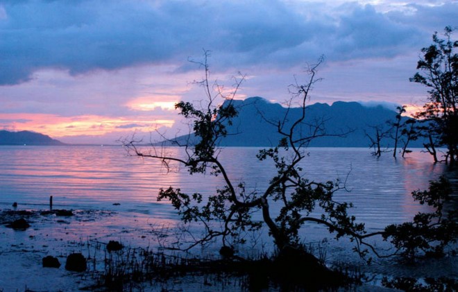 View of Gunung Santubong from the Bako National Park during sunset. - Filepic