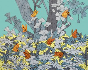 "SERENADE of the Butterflies"