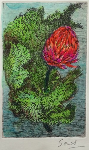 "LOTUS," etching, hand-tinted by Pandy Aviado, restruck for Fundacion Sanso 2014