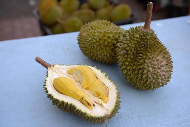 Some facts: Durians are cholesterol-free, but they have a high sugar content. Their high fibre and carbohydrate content may also cause heartburn and bloatedness, made worse if consumed with alcohol.ST FILE PHOTO