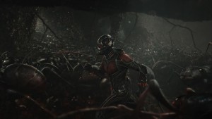 PAUL Rudd as Ant-Man
