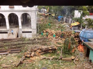 PILE of tree trunks at Army Navy compound