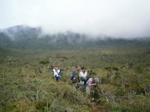 RESEARCHERS exploring the pygmy forest of Hamiguitan