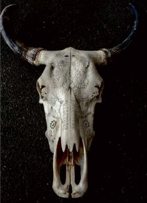 ONE OF Tebs Gomez’ carabao skull creations