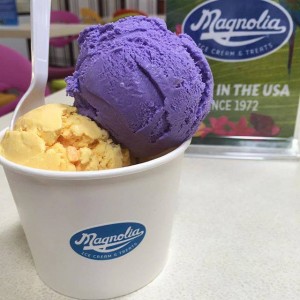 Magnolia Ice Cream USA-2