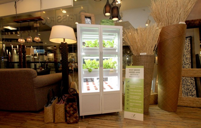Indoor hydroponic systems. Growing greens in your living room. PHOTOS: RICHARD A. REYES