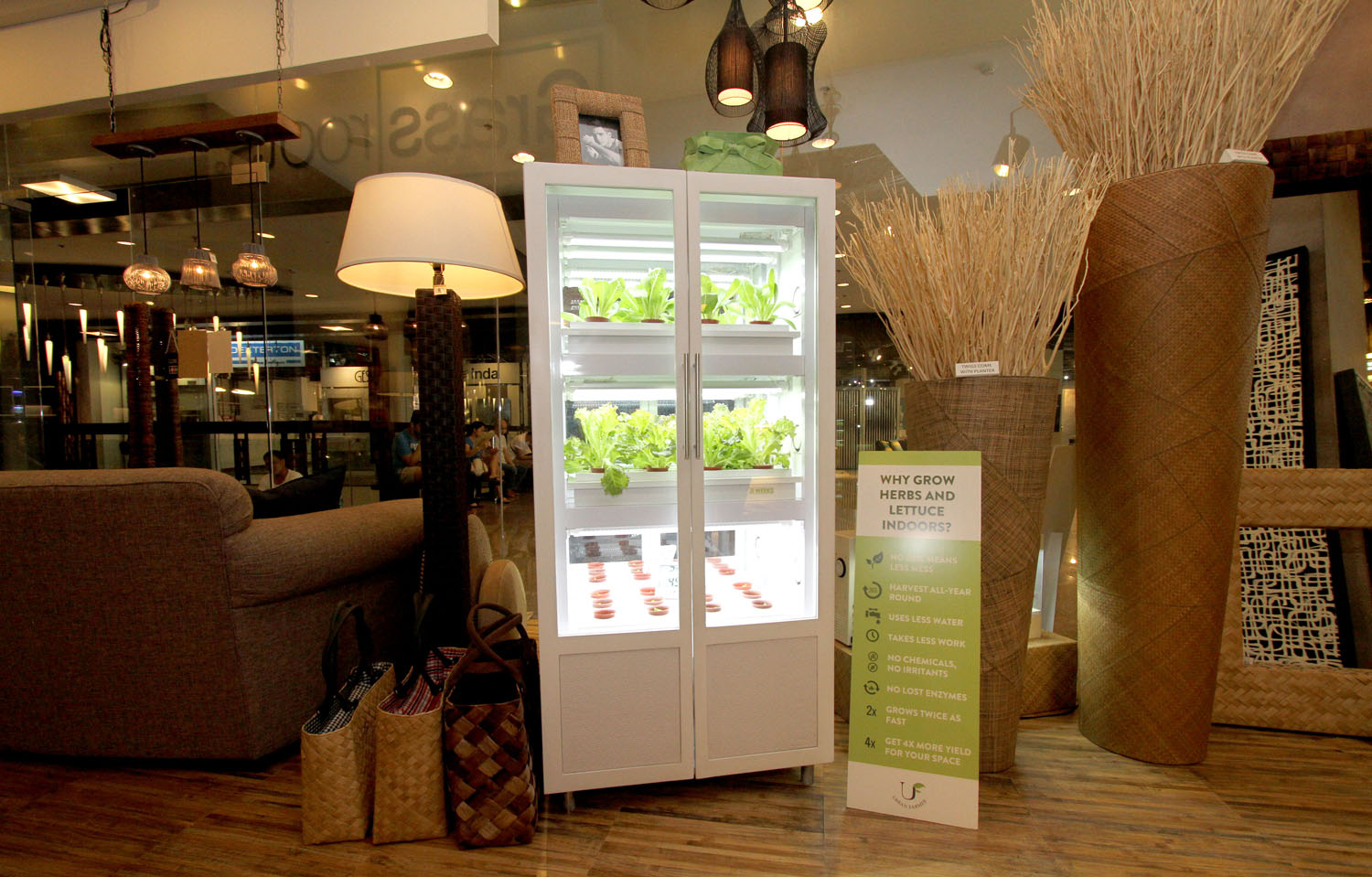 Indoor hydroponic systems. Growing greens right inside your living room.