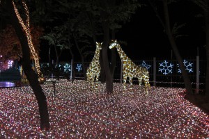 Giraffes made out of LED lights.