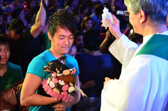 Eastwood City’s Annual Pet Blessing is a celebration of the feast of St. Francis of Assisi, the patron saint of animals. 