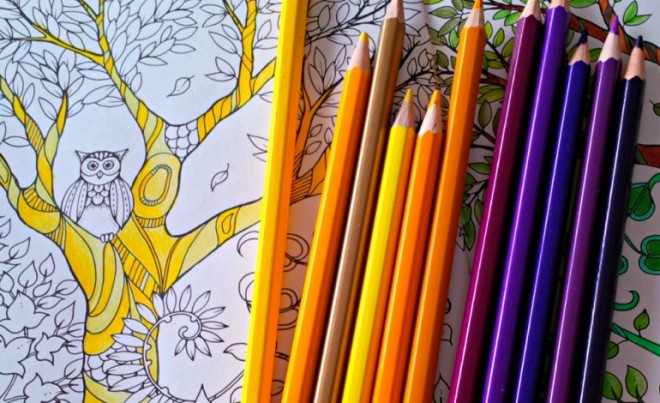 Adult coloring books are the latest craze. FILE PHOTO