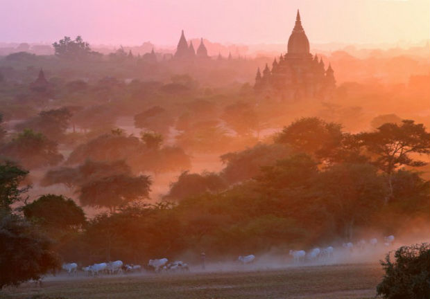 Myanmar Bagan ban