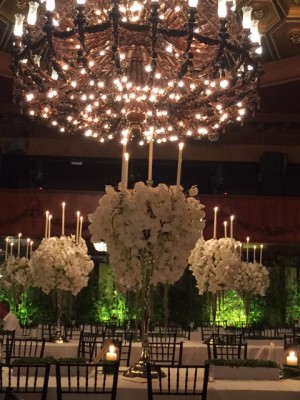 After the reception, the table centerpieces of phalaenopsis aphrodite still look resplendent.
