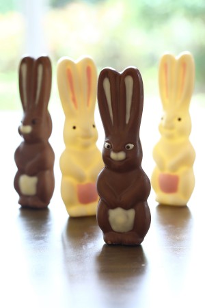 Easter Bunnies small