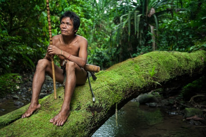 Depletion of forest is pushing indigenous people to the fringes.