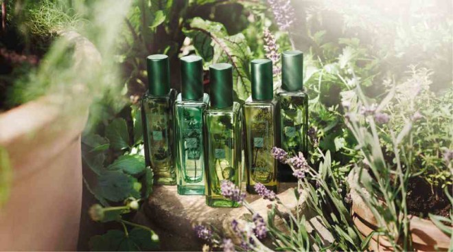 JO MALONE’S limited-edition colognes for 2016, The Herb Garden Collection: Wild Strawberry & Parsley; Sorrel & Lemon Thyme;Nasturtium & Clover; Carrot Blossom & Fennel; and Lavender & Coriander