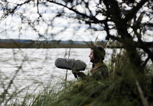 In this June 1, 2016 photo, Juan Pablo Culasso stands in a natural reserve with his recording equipment, on the outskirts of Montevideo, Uruguay. Born blind, Culasso has never seen a bird. But through his gifted sense of hearing, he can tell the difference among more than 720 species and identify more than 3,000 different bird sounds. (AP Photo/Matilde Campodonico)