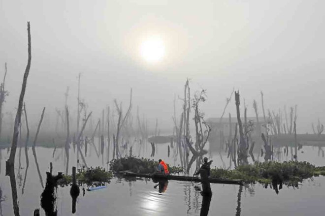 SURREAL morning at the marsh covered by heavy fog PHOTOS BY EDGAR ALLAN M. SEMBRANO