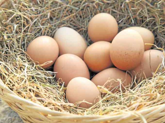 FREE-range eggs are those laid by chickens that roam freely and are devoid of chemicals.