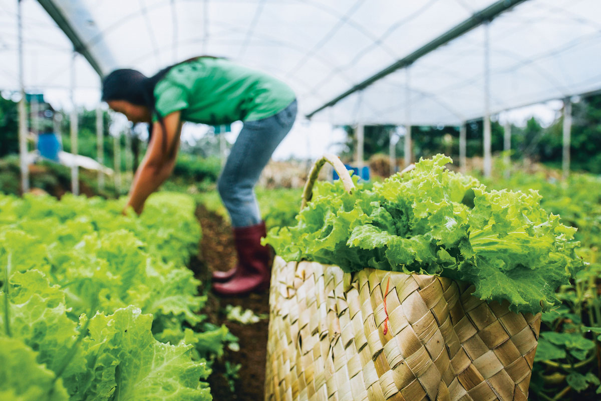 How agritourism changes the way we perceive farming