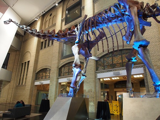 I did an internship at the ROM. Now it is one of my kids' favourite spots in Toronto.