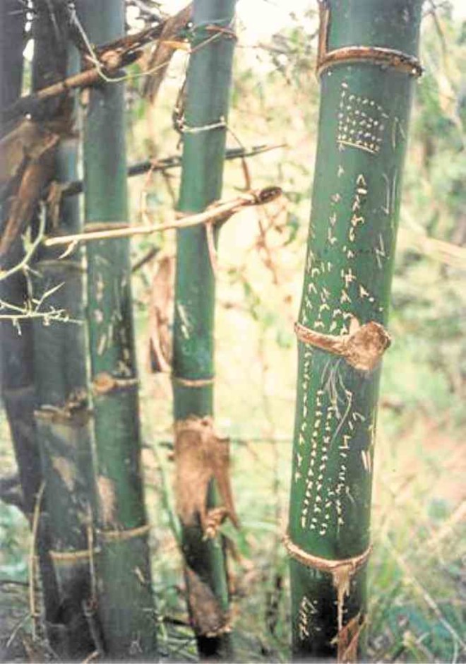 Bamboo with Mangyan script