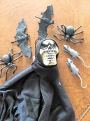 Plastic spider, bat and rat skeleton with black robe (all from Toys R Us)