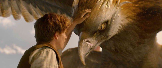 Newt Scamander and his friend Frank the Thunderbird