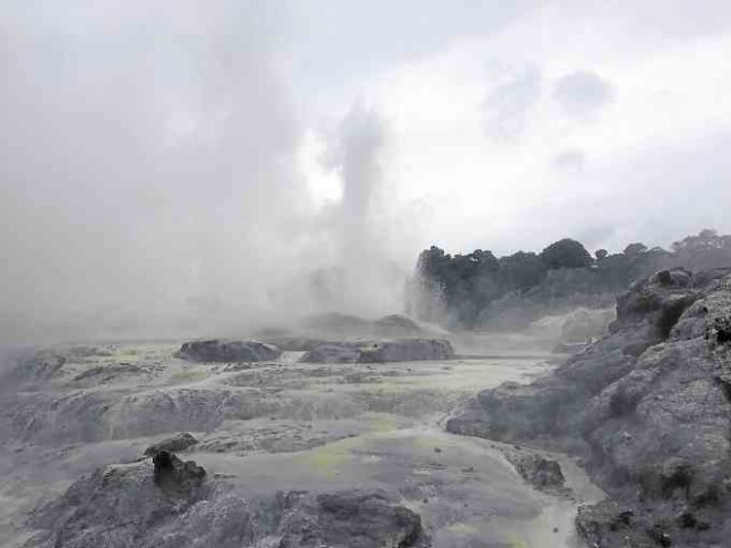 The spectacular Pohutu geyser at the TeWhakarewarewa Thermal Reserve in Te Puia, Rotorua—sacred ground for the Maori people of New Zealand