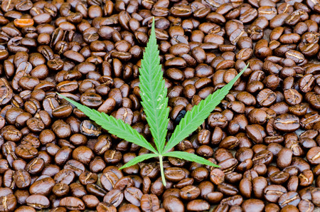 cannabis leaf on coffee beans 