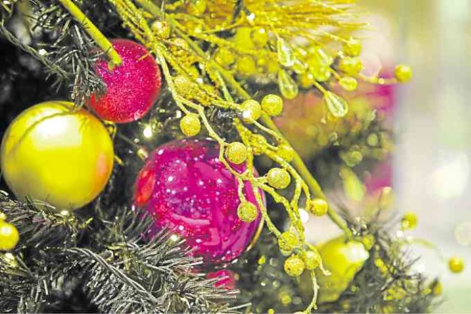 A ROYAL CHRISTMAS Violet-adorned Christmas trees stand regal.