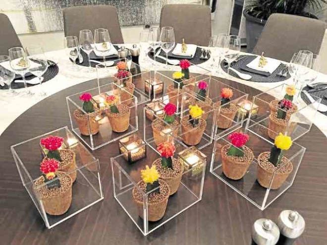 Colorful cacti in clear acrylic cases are table centerpieces.